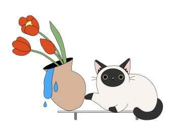 preview illustrations